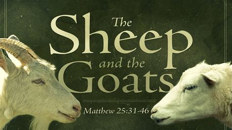 Sheep and Goats