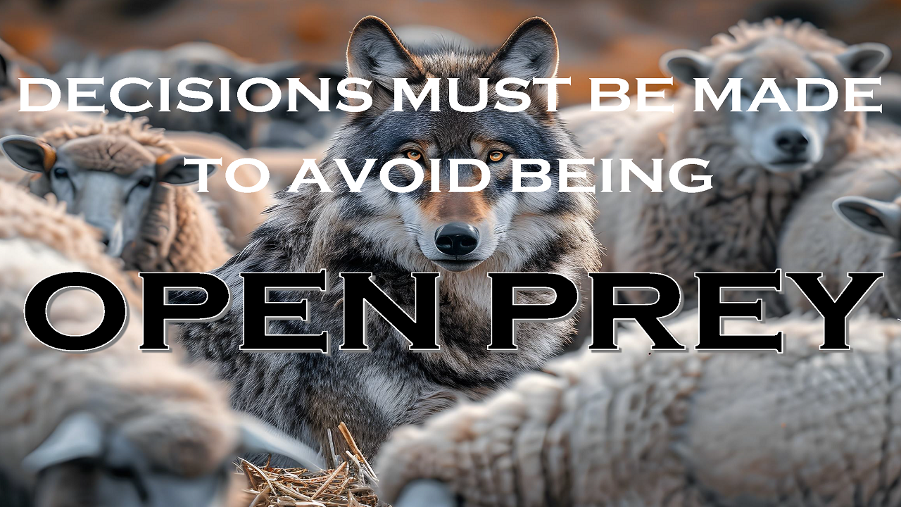 08.25.26.Open Prey.2.0.1280